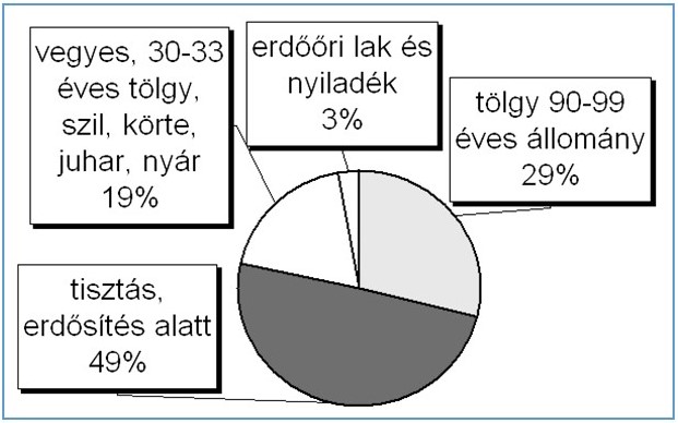 A Nagyerdőből kiszakadó rész faállománya