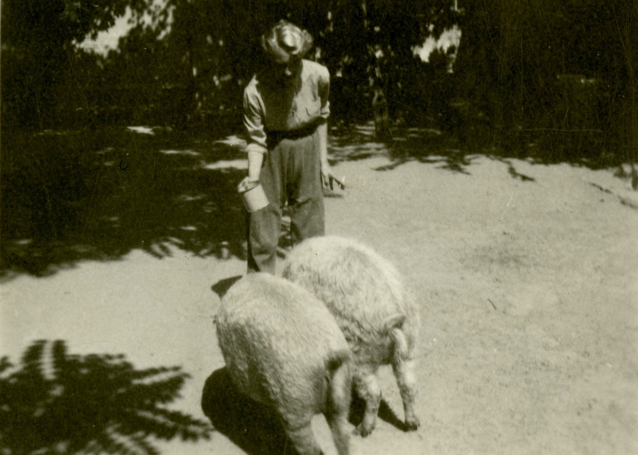 Jablonczay Piroska kedves állataival az 1920-as években